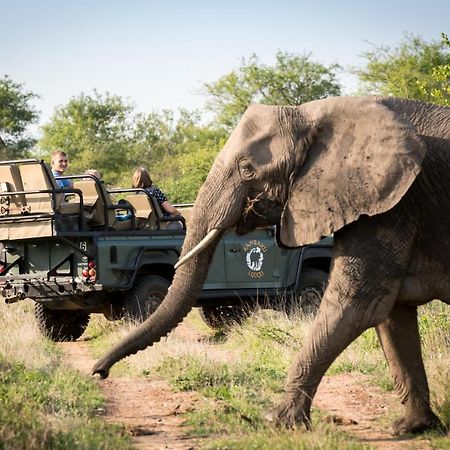 Kambaku River Sands Timbavati Game Reserve Ngoại thất bức ảnh