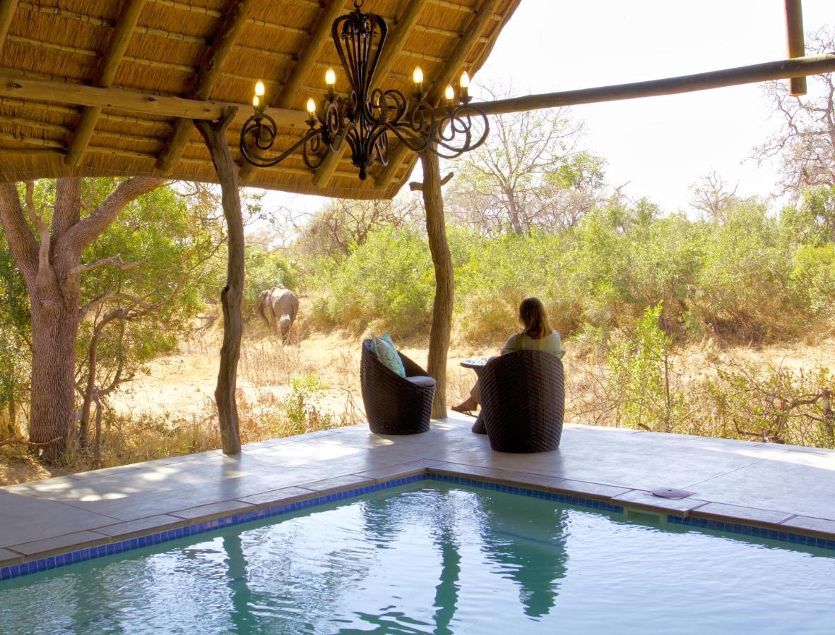 Kambaku River Sands Timbavati Game Reserve Ngoại thất bức ảnh