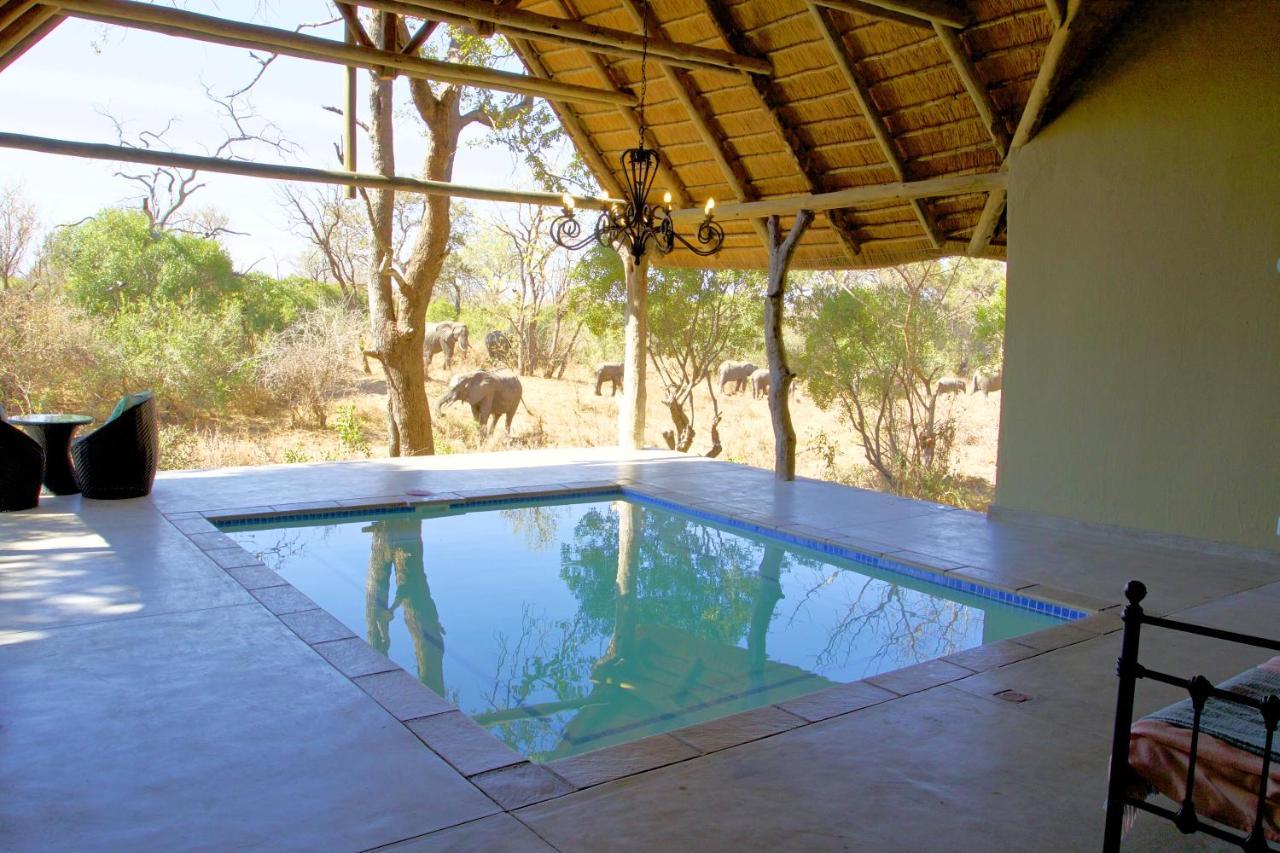 Kambaku River Sands Timbavati Game Reserve Ngoại thất bức ảnh