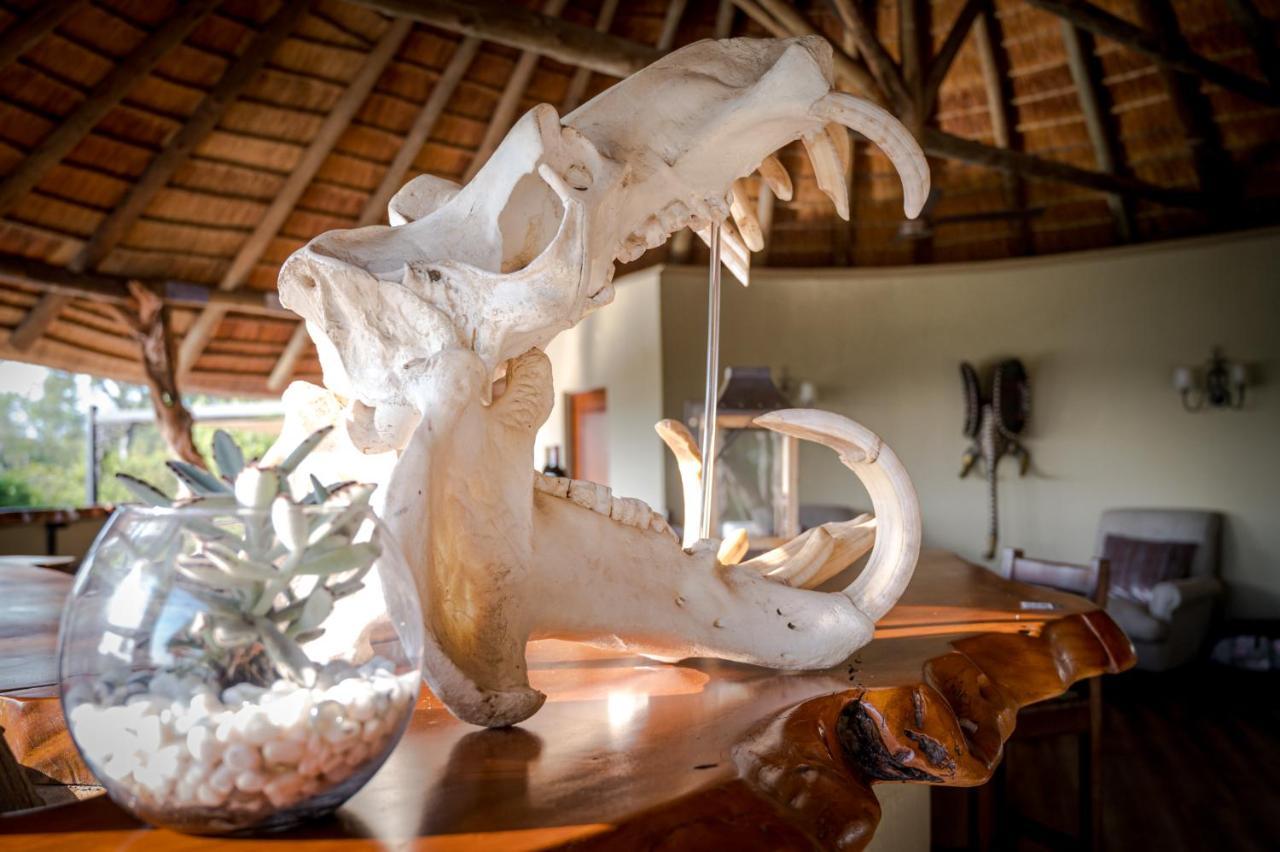 Kambaku River Sands Timbavati Game Reserve Ngoại thất bức ảnh