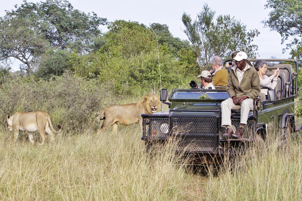 Kambaku River Sands Timbavati Game Reserve Ngoại thất bức ảnh