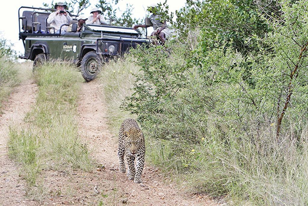Kambaku River Sands Timbavati Game Reserve Ngoại thất bức ảnh