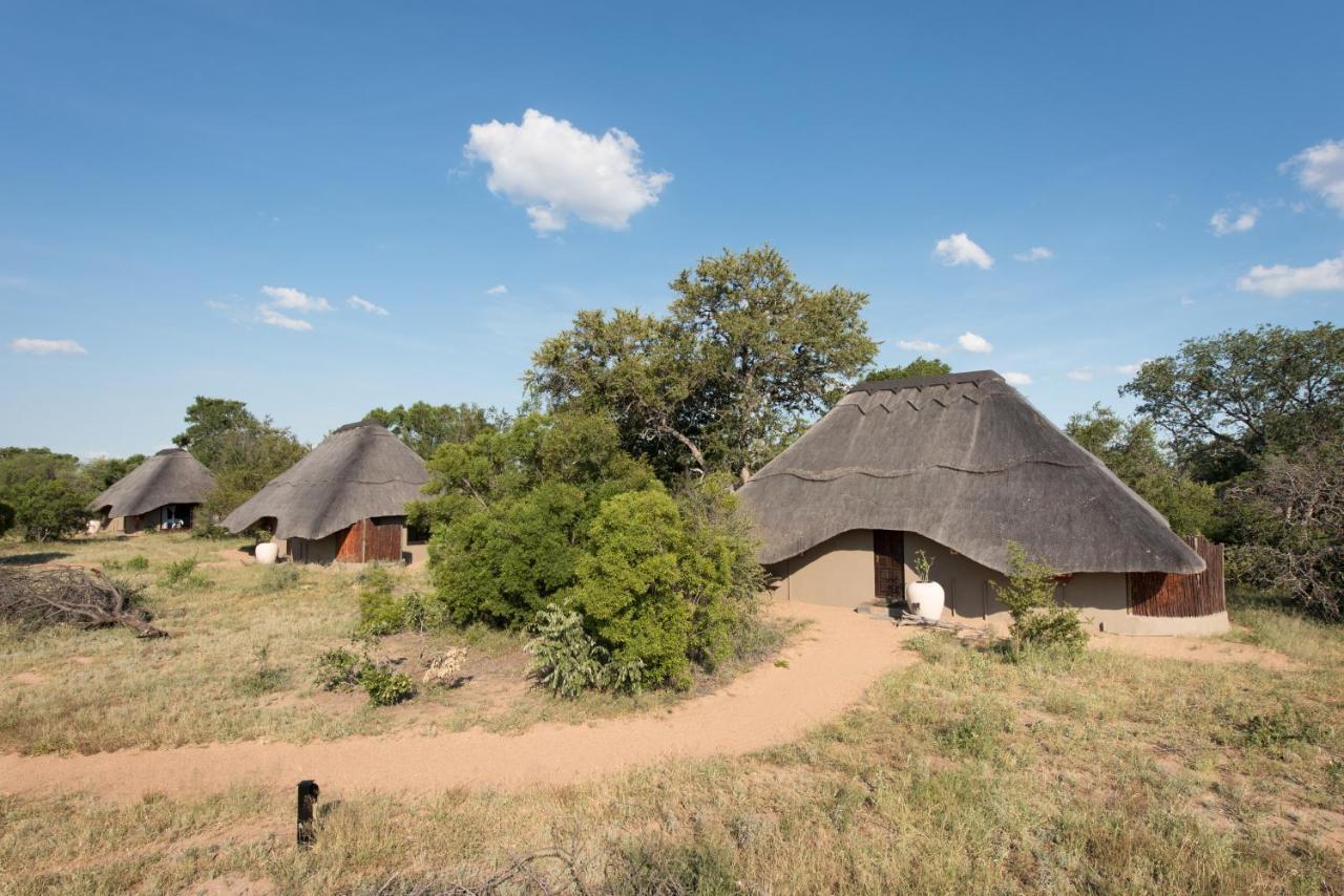 Kambaku River Sands Timbavati Game Reserve Ngoại thất bức ảnh