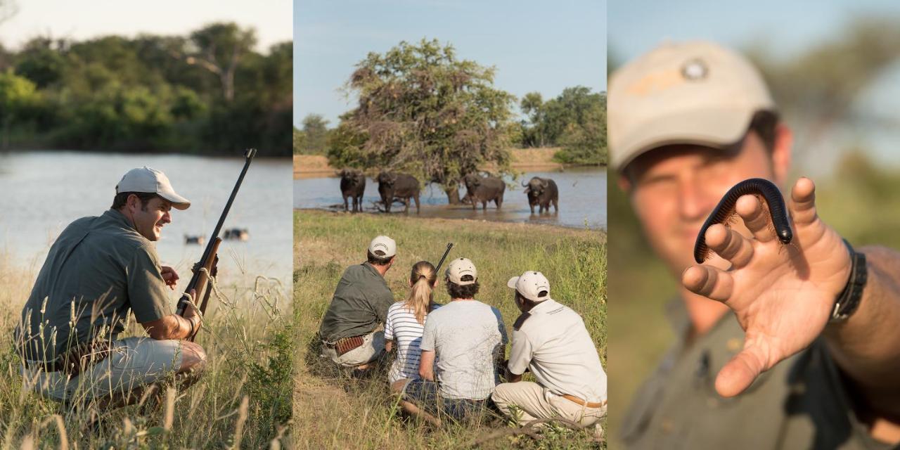 Kambaku River Sands Timbavati Game Reserve Ngoại thất bức ảnh